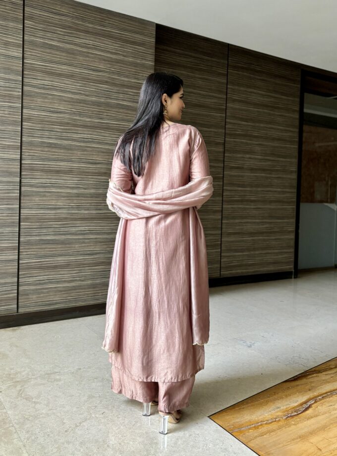 Light Brown Zari Embroidered Suit Set